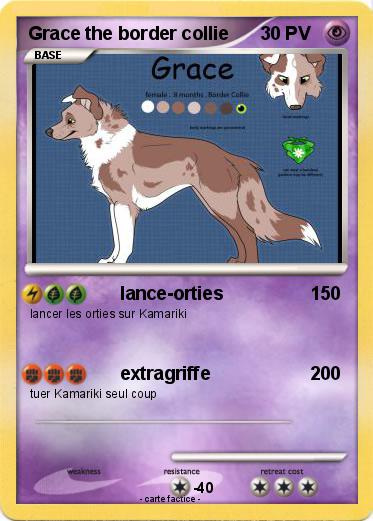 Pokemon Grace the border collie