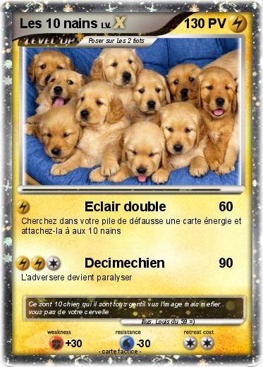 Pokemon Les 10 nains
