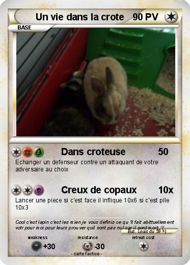 Pokemon Un vie dans la crote