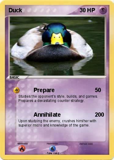 Pokemon Duck
