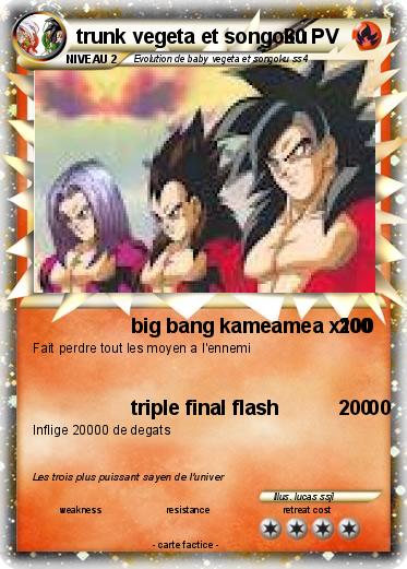Pokemon trunk vegeta et songoku