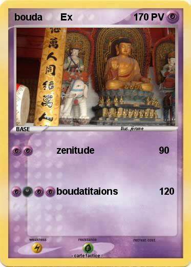 Pokemon bouda       Ex