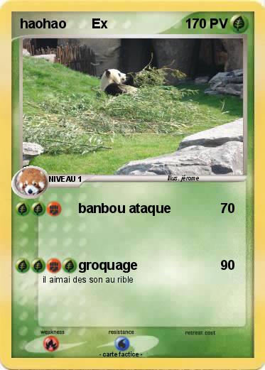 Pokemon haohao       Ex