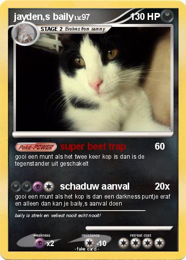 Pokemon jayden,s baily
