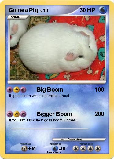 Pokemon Guinea Pig