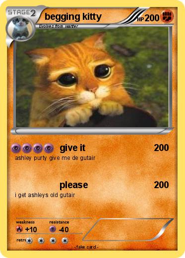 Pokemon begging kitty