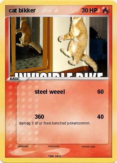 Pokemon cat bikker