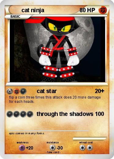 Pokemon cat ninja