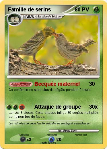 Pokemon Famille de serins