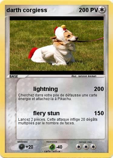 Pokemon darth corgiess