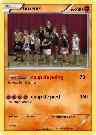 Pokemon boxeurs