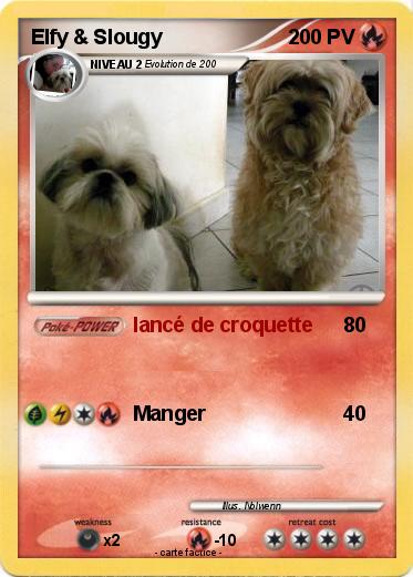 Pokemon Elfy & Slougy