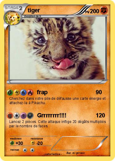 Pokemon tiger