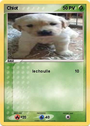 Pokemon Chiot