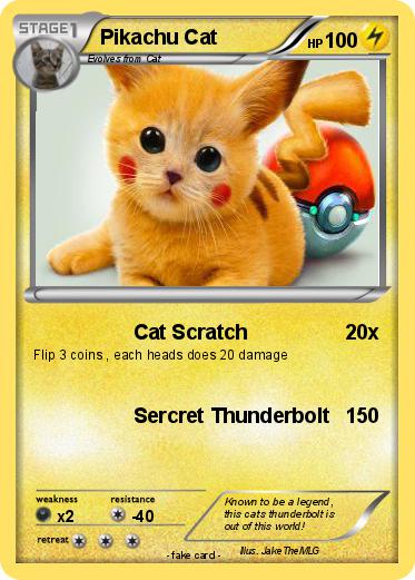 Pokemon Pikachu Cat