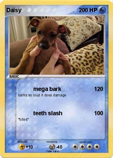 Pokemon Daisy