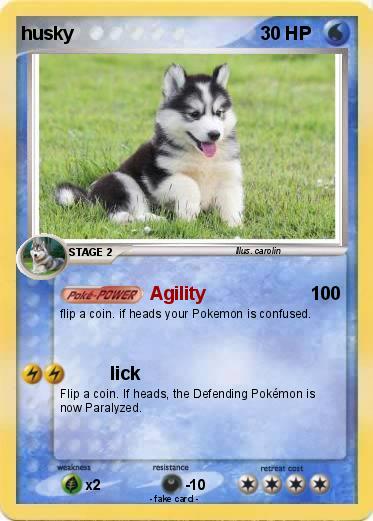 Pokemon husky
