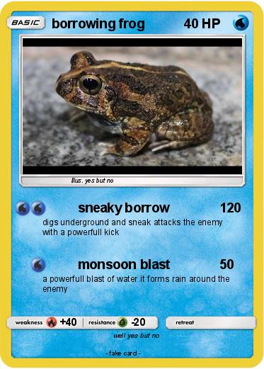 Pokemon borrowing frog
