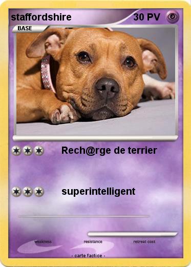Pokemon staffordshire