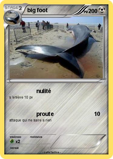 Pokemon big foot