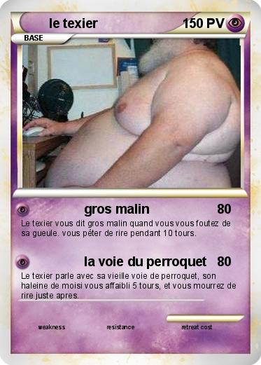 Pokemon le texier