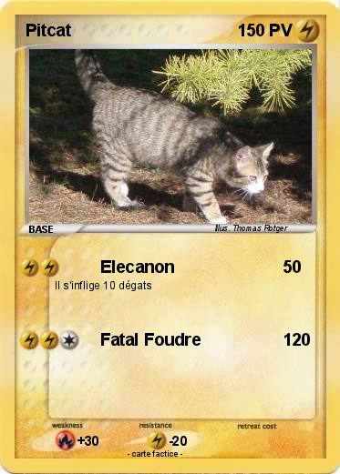 Pokemon Pitcat