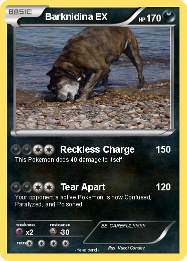 Pokemon Barknidina EX
