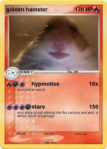 Pokemon golden hamster