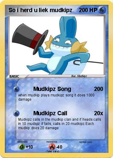 Pokemon So i herd u liek mudkipz