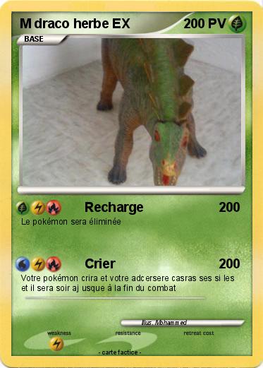 Pokemon M draco herbe EX