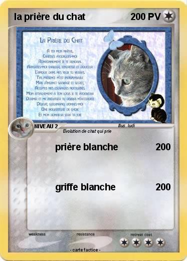 Pokemon la prière du chat
