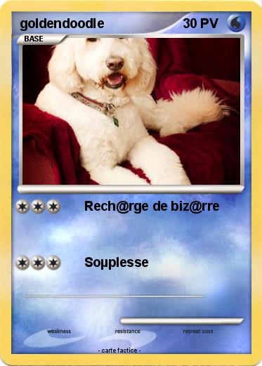 Pokemon goldendoodle