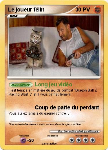 Pokemon Le joueur félin