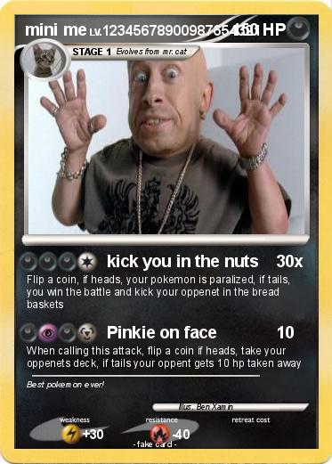 Pokemon mini me