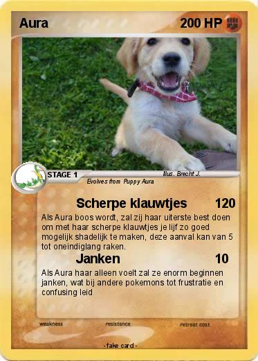 Pokemon Aura