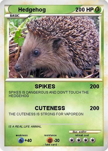 Pokemon Hedgehog