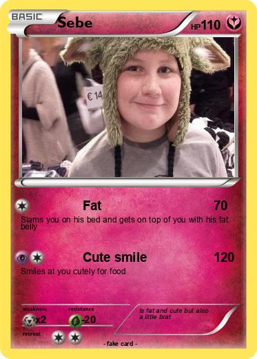 Pokemon Sebe