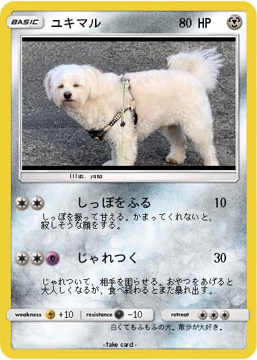 Pokemon ユキマル