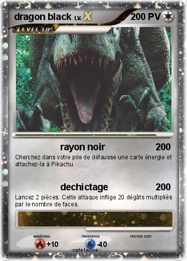 Pokemon dragon black