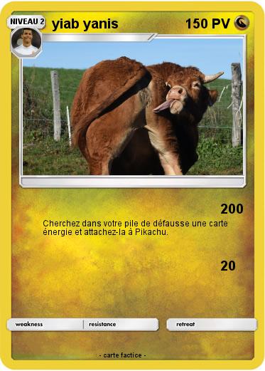 Pokemon yiab yanis