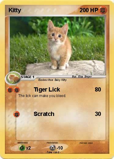 Pokemon Kitty
