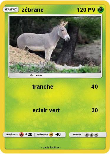 Pokemon zébrane