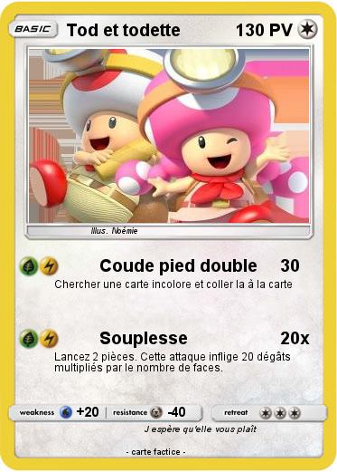 Pokemon Tod et todette