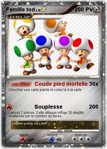 Pokemon Famille tod
