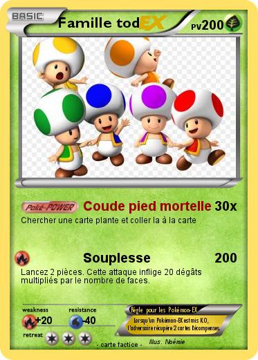 Pokemon Famille tod