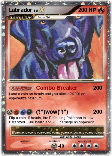 Pokemon Labrador