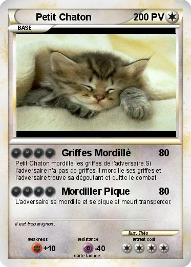 Pokemon Petit Chaton