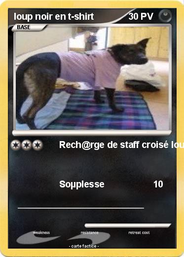 Pokemon loup noir en t-shirt