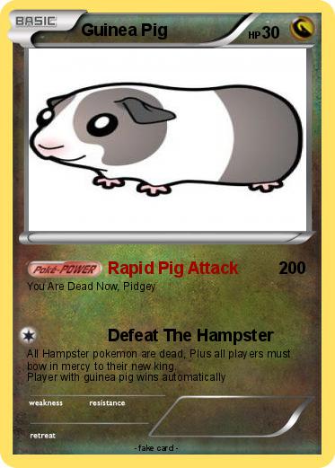 Pokemon Guinea Pig