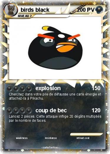 Pokemon birds black